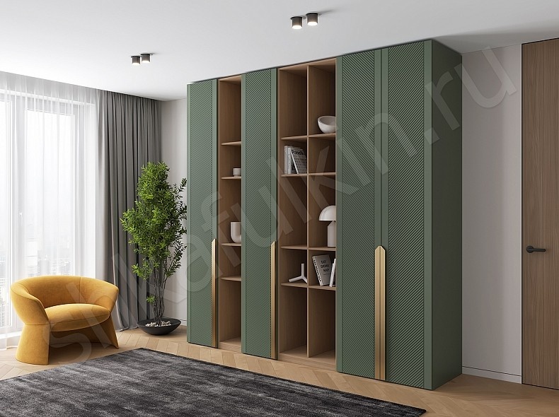 Шкафулькин