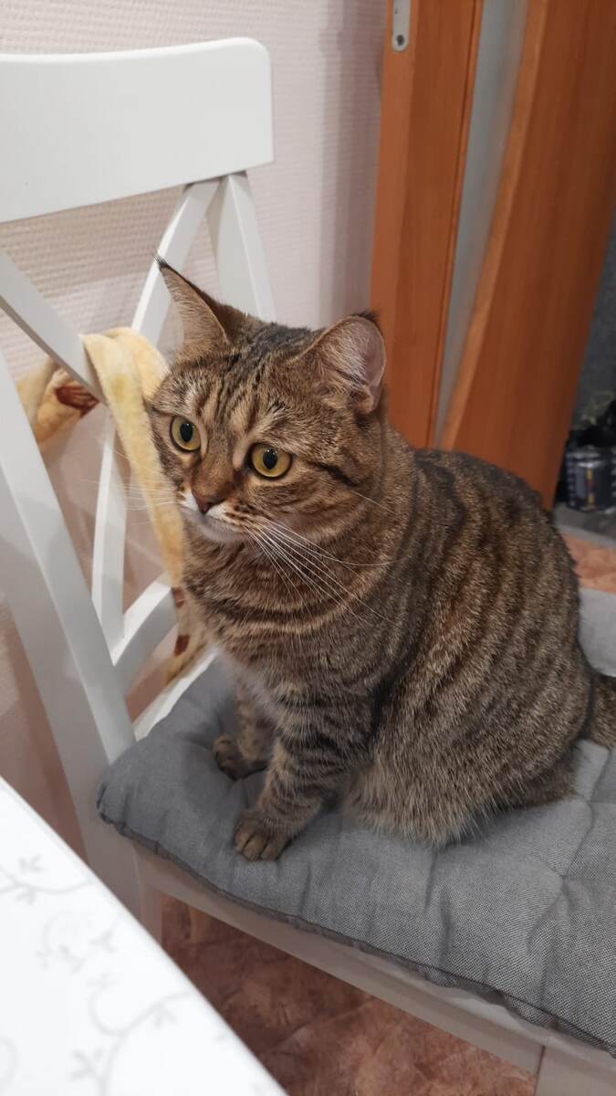 Фото автора