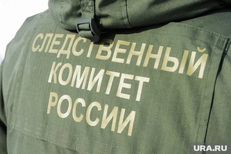 СК ведет расследование в отношении комика Останина. Фото: Вадим Ахметов © URA.RU