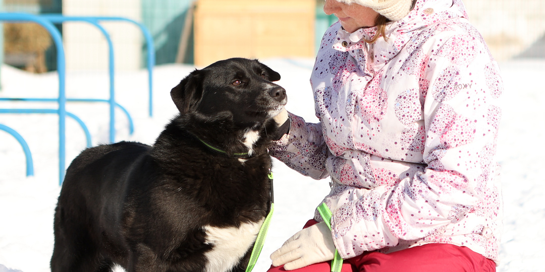 Пять лет одно и тоже у этой собаки. И мы и пиар. Всё мимо
