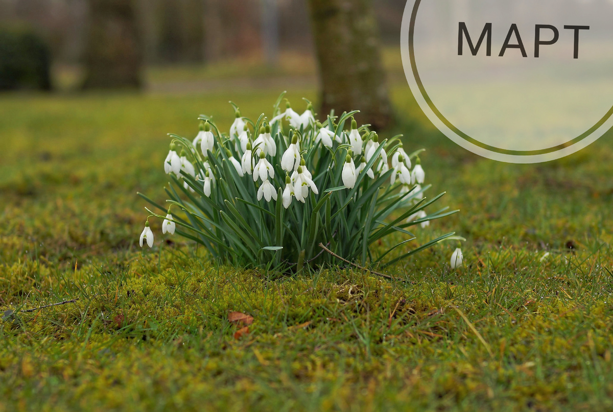 # нумерологический прогноз на 27-28 марта 2025 года 