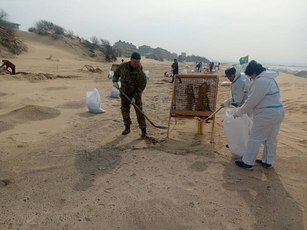    Фото: Оперштаб Кубани