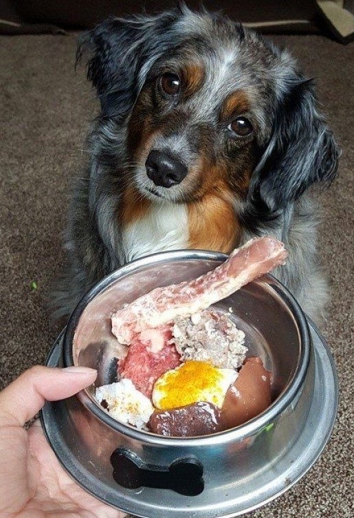 Источник: https://in.pinterest.com/pin/165296248804527311/ 