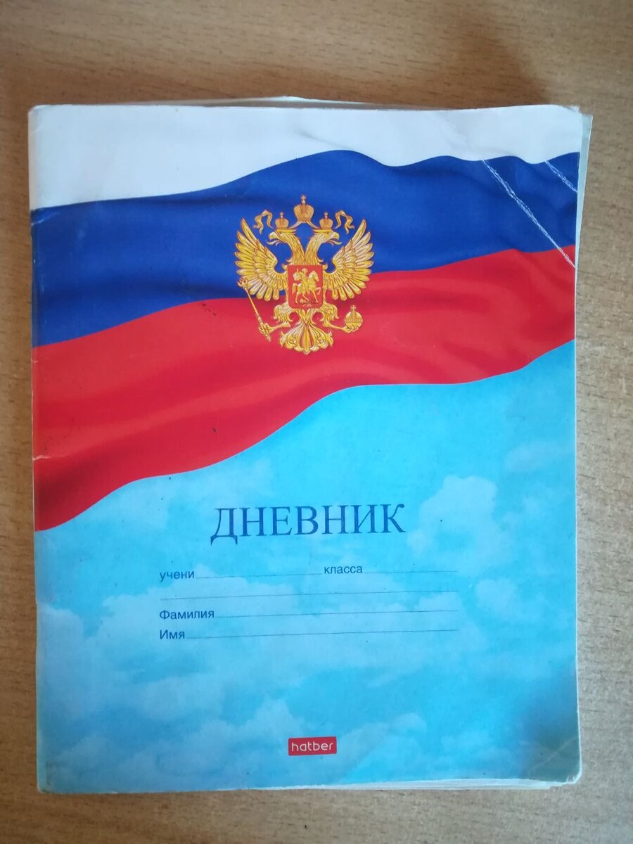 Дневник девятиклассника