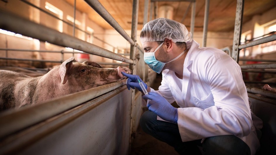 Источник: Freepik