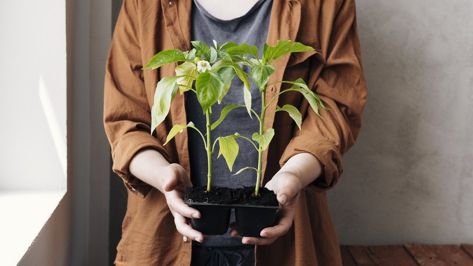 Источник: Freepik