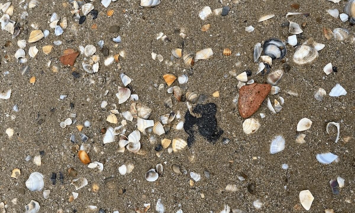    Фото t.me/opershtab23