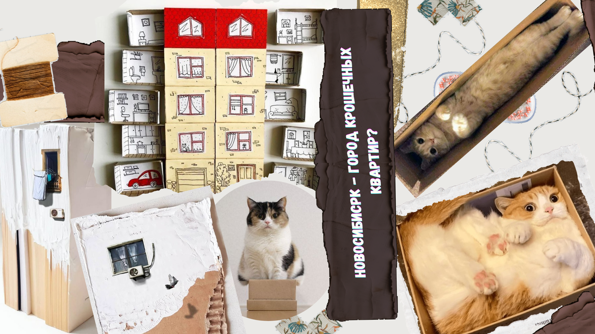 Коты в коробках — гении минимализма. Берем пример: сворачиваемся и адаптируемся?