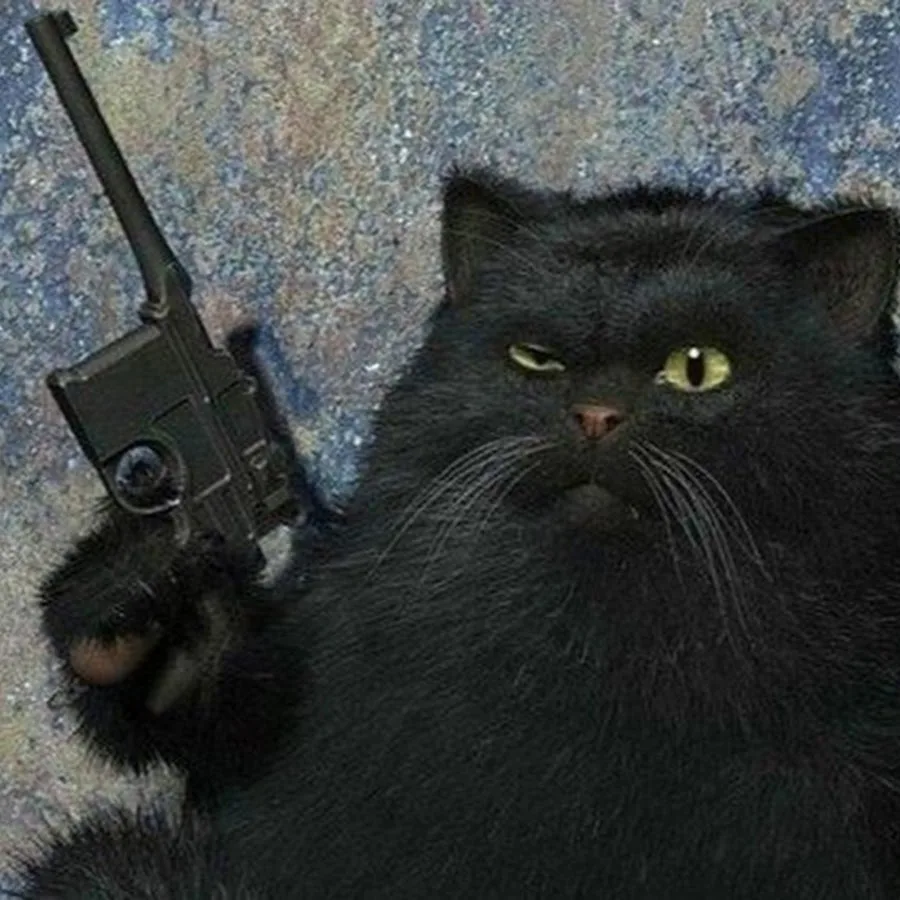 Рисунок из Яндекса. Спасибо автору. 