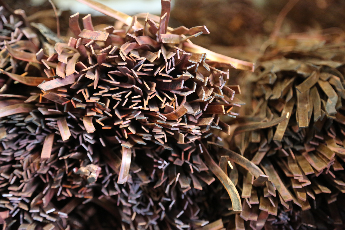 Фото "Балтэкском". 