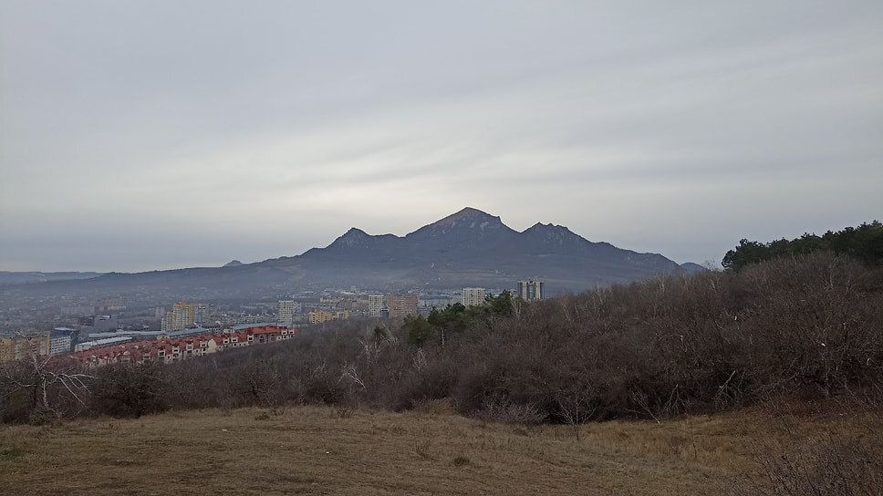 Фото: Дмитрий Михеенко