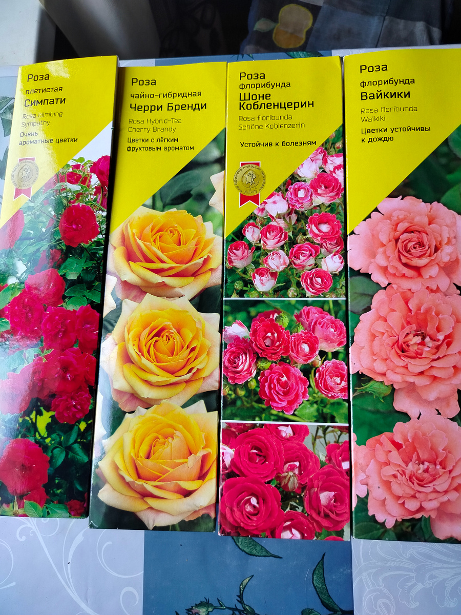 Мои новые розочки.