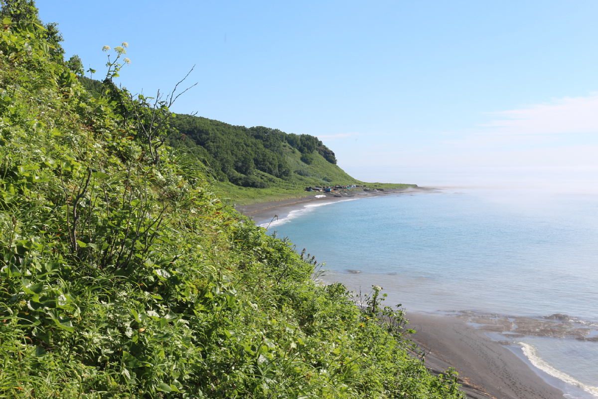 Гуляя по берегу, видишь следы 🐻