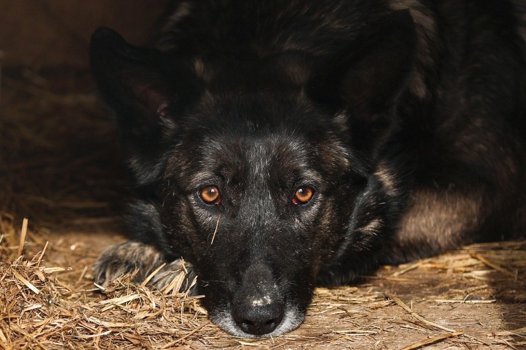    Фото © Егор Алеев / ТАСС