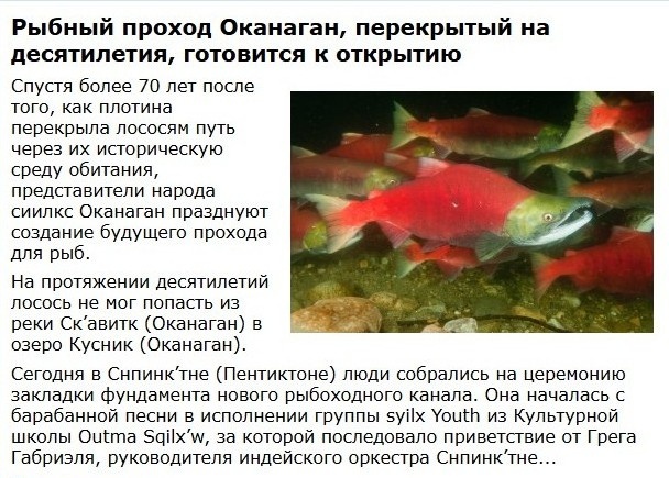 Скриншот отрывка статьи (автоперевод) из Los Angeles Times, посвященной решению проблем с нерестилищами. Индейцы пришли аж с оркестром, во как!