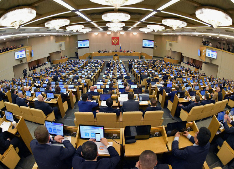 Регионы молчат — как круглый стол по бродячим собакам прошел