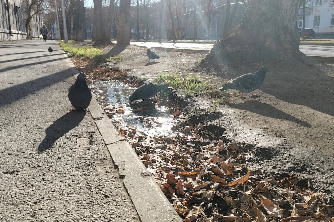 Фото: UfaTime.ru