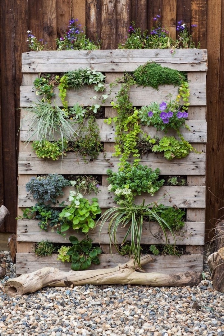 Вертикальные грядки из деревянных ящиков или старых поддонов сэкономят место