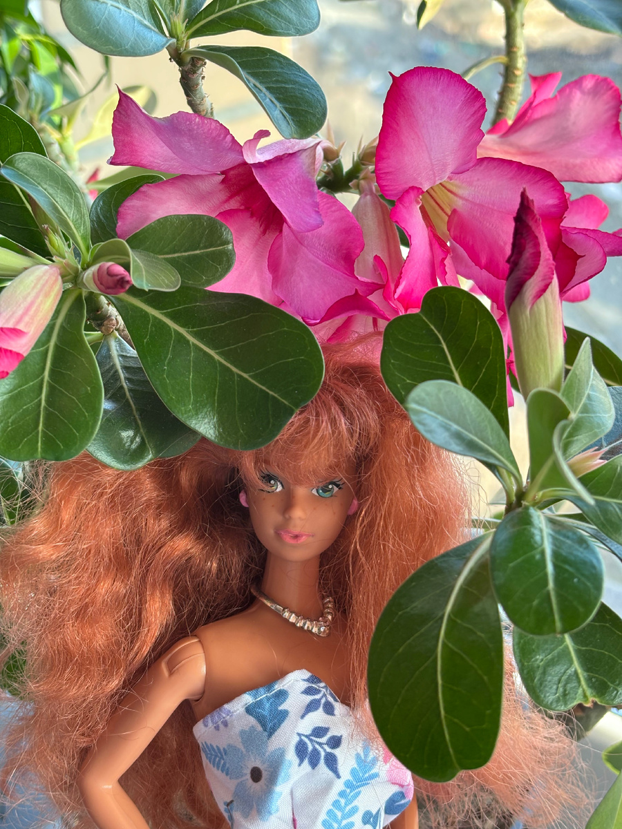 Жизель в цветах