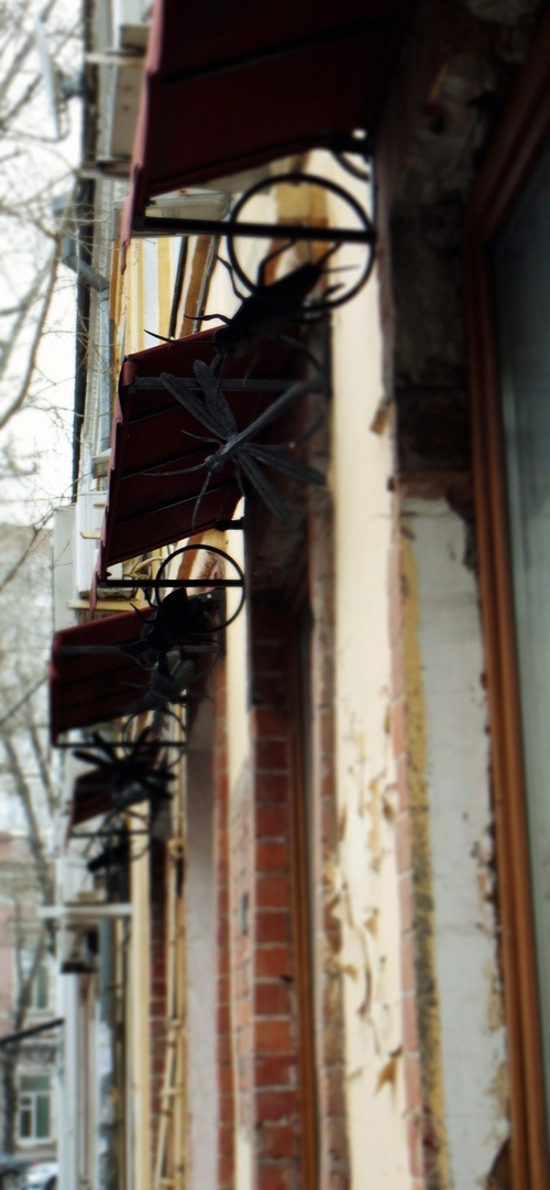 стрекозы я снимала лет десять назад и... правильно делала!