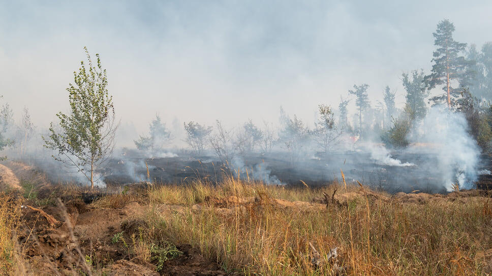 Фото: Олег Харсеев / Коммерсантъ