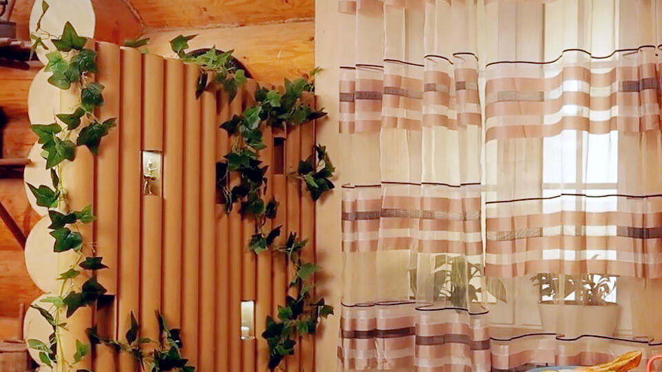 Фото: © Кадр из программы "Самая народная программа", РЕН ТВ