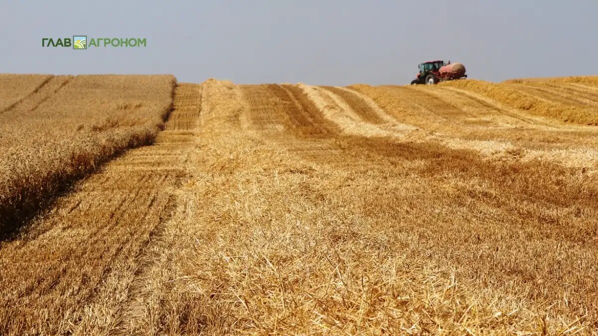 Фото:© Владимир Исаенко / Glavagronom.ru
Более 400 донских фермеров ушли из агробизнеса в 2024 году