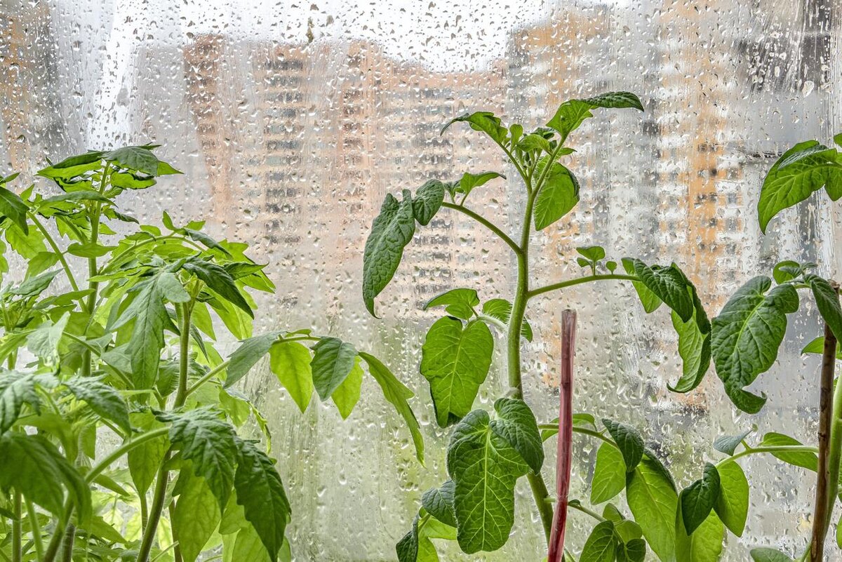     Konstantin Kokoshkin/globallookpress.ru