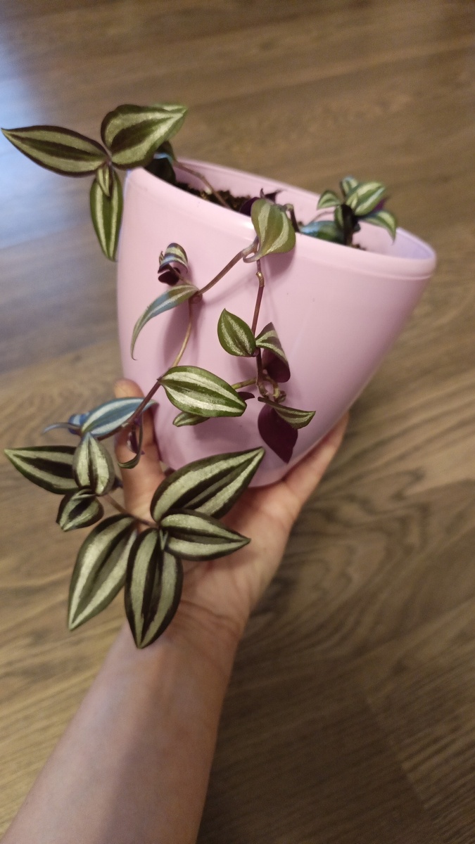 Красавчик, который скоро поедет в новый дом