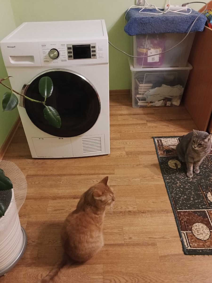 Корабль прибыл, астронавты в очередь встали