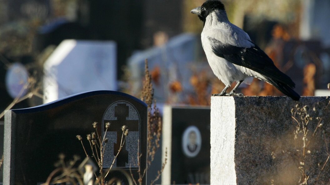    Vasilii Smirnov/Russian Look/Globallookpress