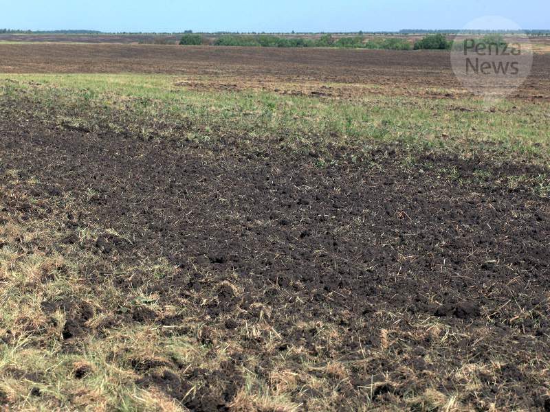    © Фото из архива ИА «PenzaNews»