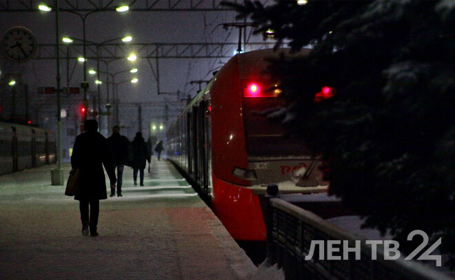   © Анастасия Илюшина / ЛенТВ24
