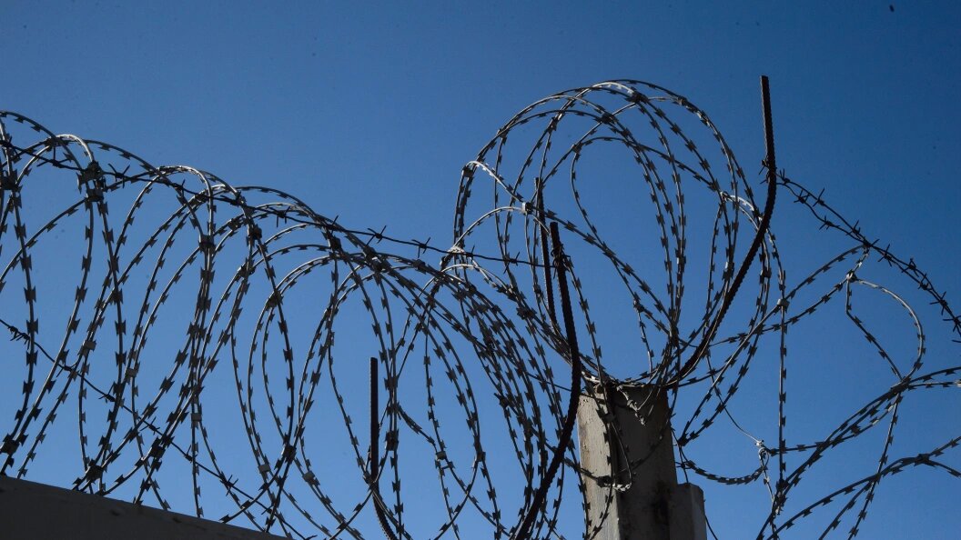    фото: Dmitry Chasovitin/Global Look Press