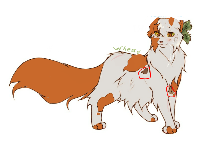 Где ее пятна