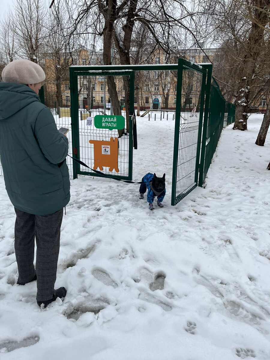 Фото Бобровкиной-Морковкиной 