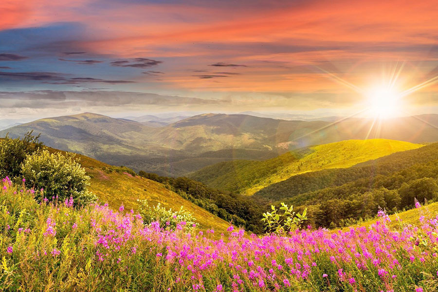 Фото взято из интернета 