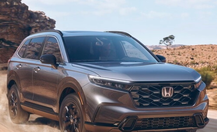 Google. Картинки 