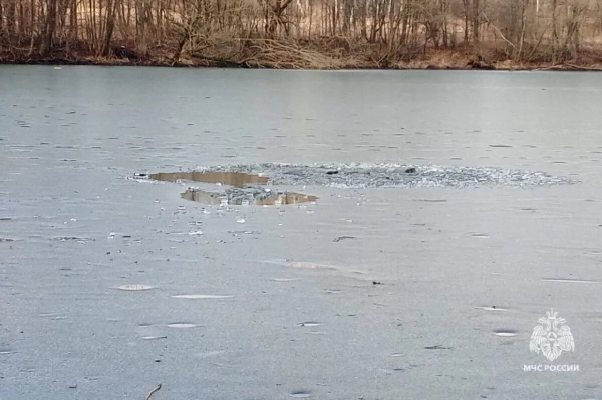    ГУ МЧС Тульской области: провалившись под лёд, утонули два человека