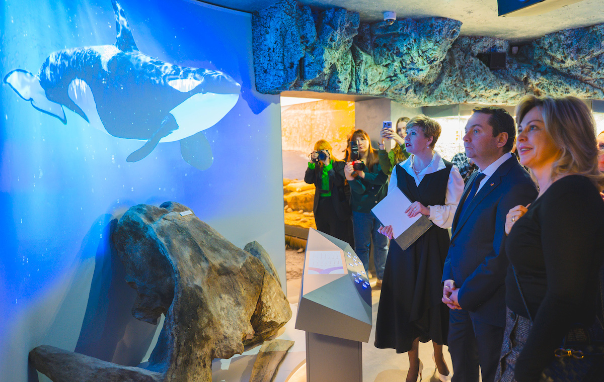 Экспозиции музея. Источник: mininform.gov-murman.ru