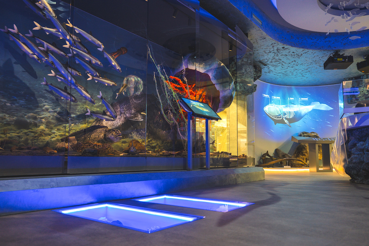 Экспозиции музея. Источник: mininform.gov-murman.ru