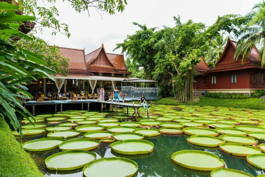 Фотография из открытых источников