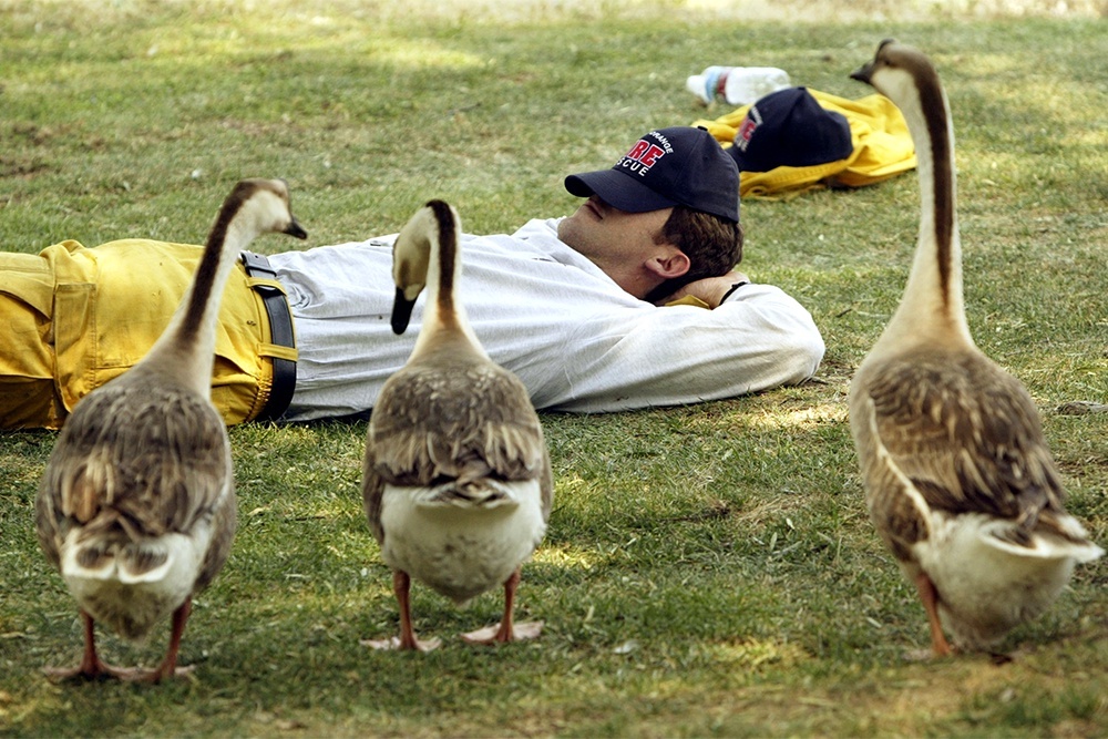    Каждый заслужил свои сны. / Getty Images