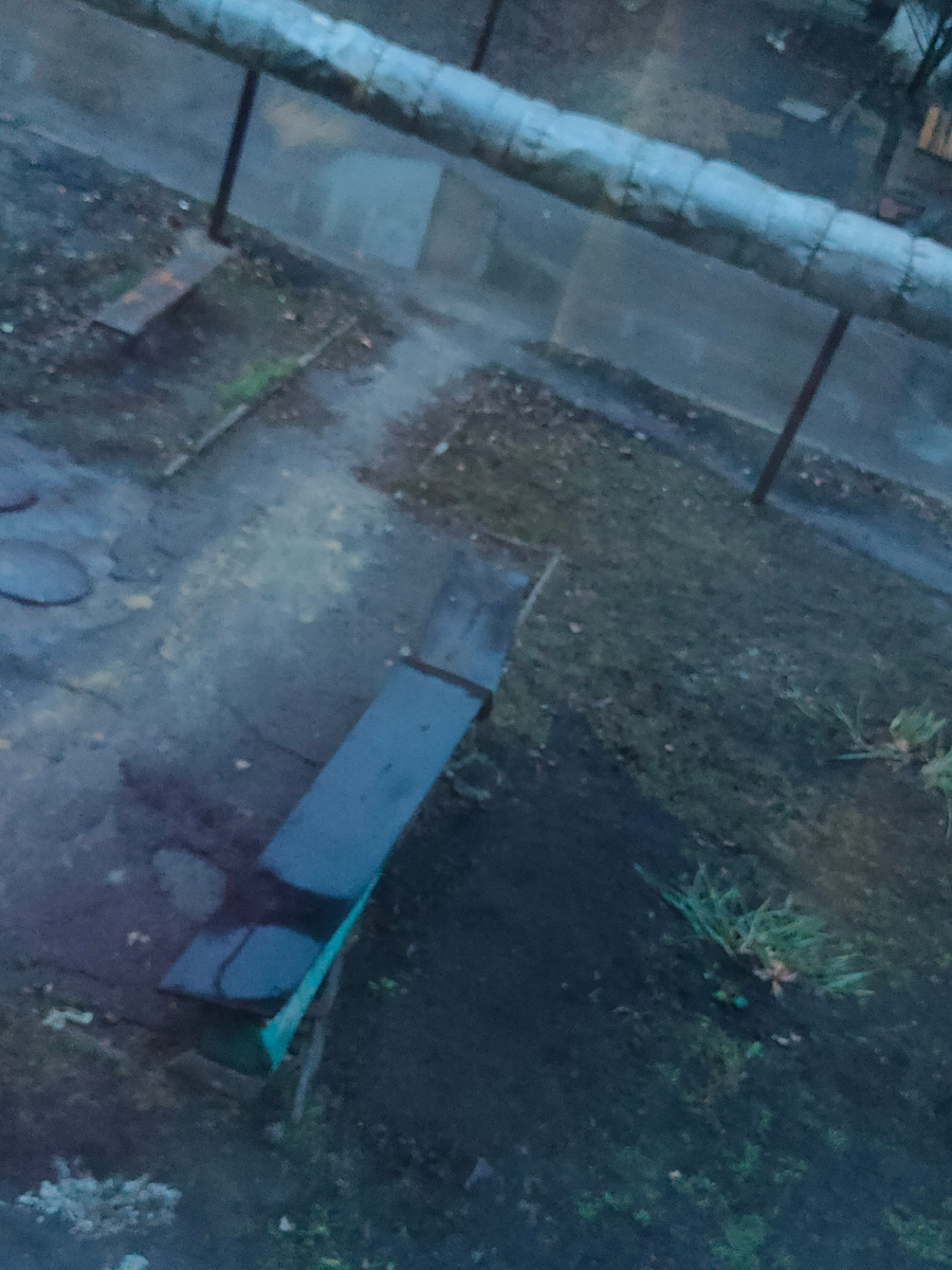 Погода сегодня