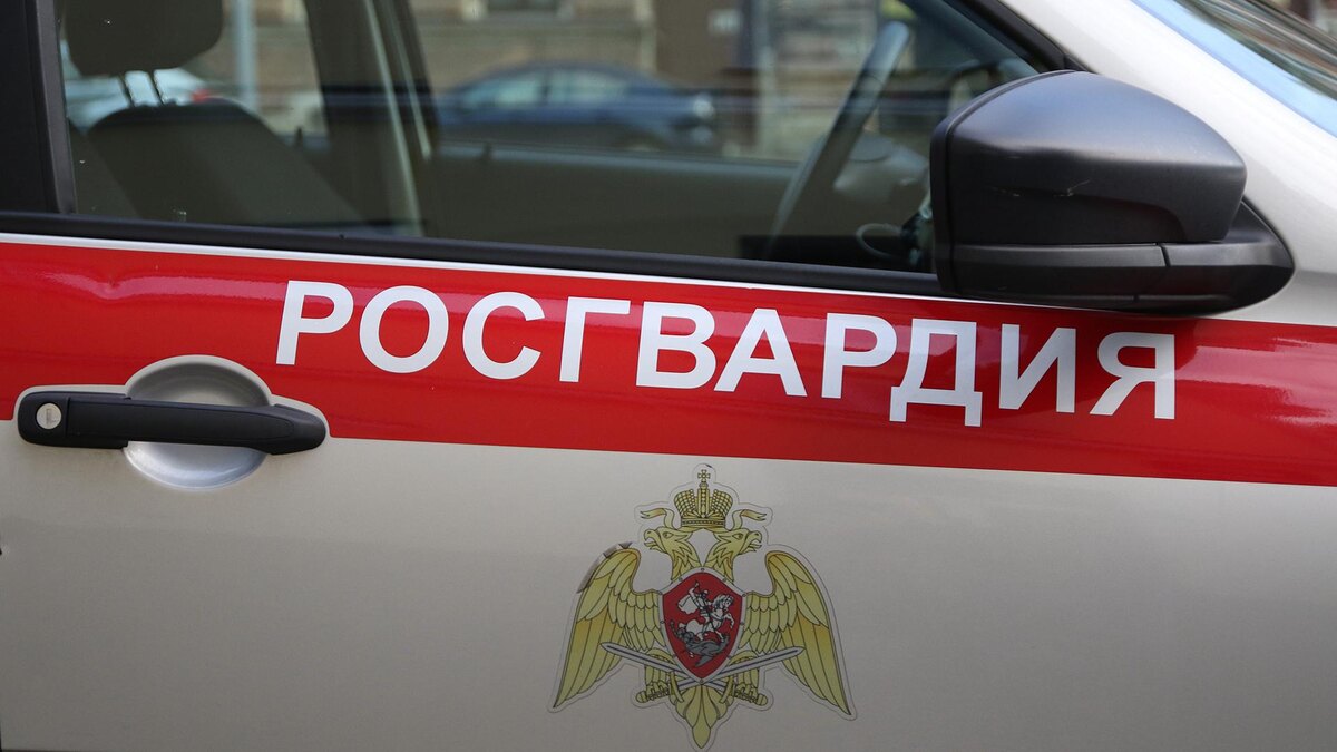    Фото: Maksim Konstantinov/globallookpress.com