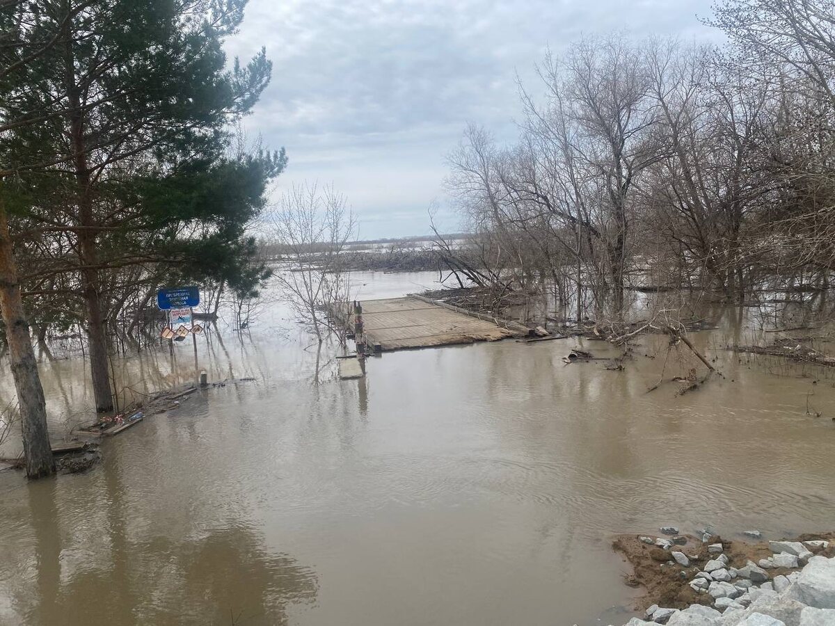 Весна вступила в свои права, а вместе с ней пришло и половодье.  Фото: ФедералПресс / Наталья Шалыгина