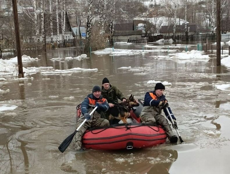 Фото: МЧС Челябинской области