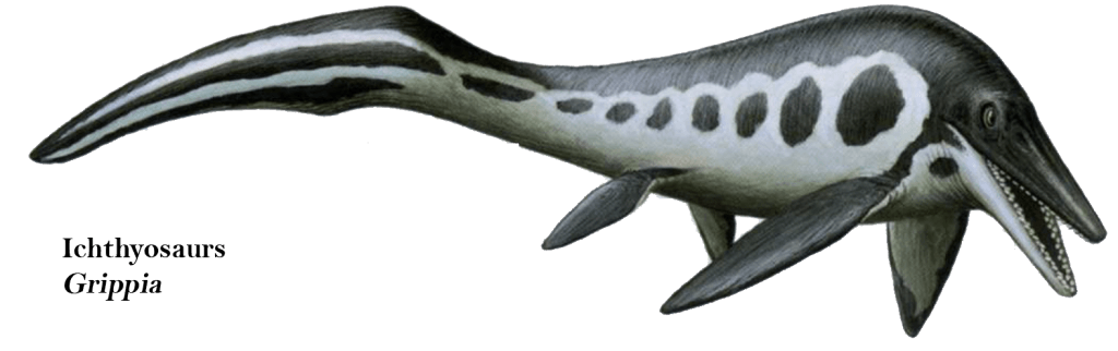 Гриппия. Пнг.