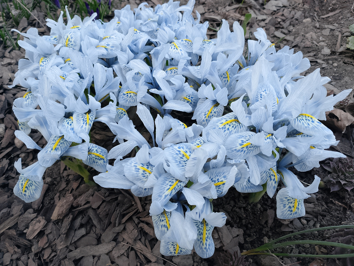 Ну, прелесть же!