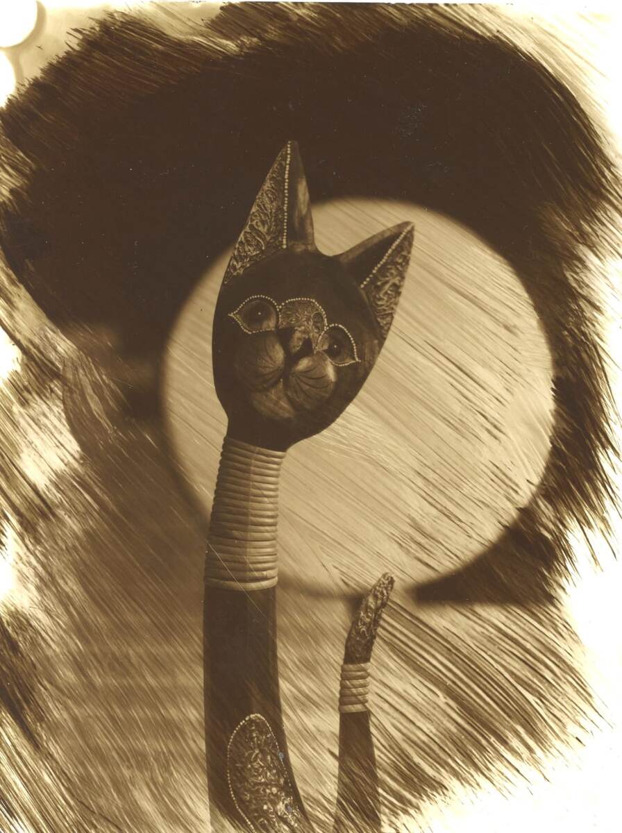 Фотография, сделанная с помощью технологии Instant Card Auto Reverse (I.C.A.R.)
Фото предоставлено Антоном Евтушенко